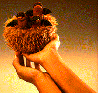 Robins in Nest Puppet